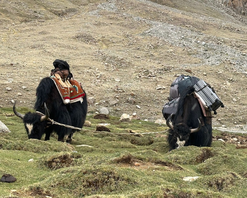 Muktinath and Kailash Parvat Pilgrimage